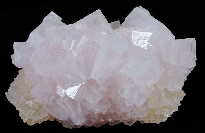 Pink Halite Crystal Plate - Trona, California #61070